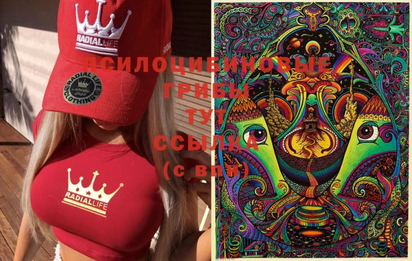 каннабис Абаза