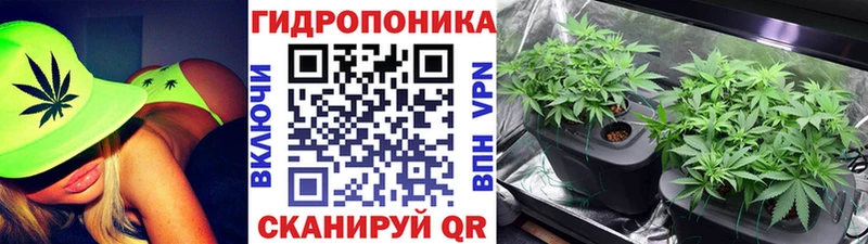 Марихуана конопля Новокузнецк